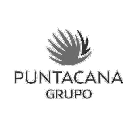 Puntacana Grupo